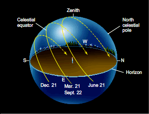 Zenith Figure