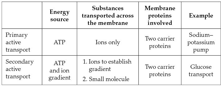 Active Transport